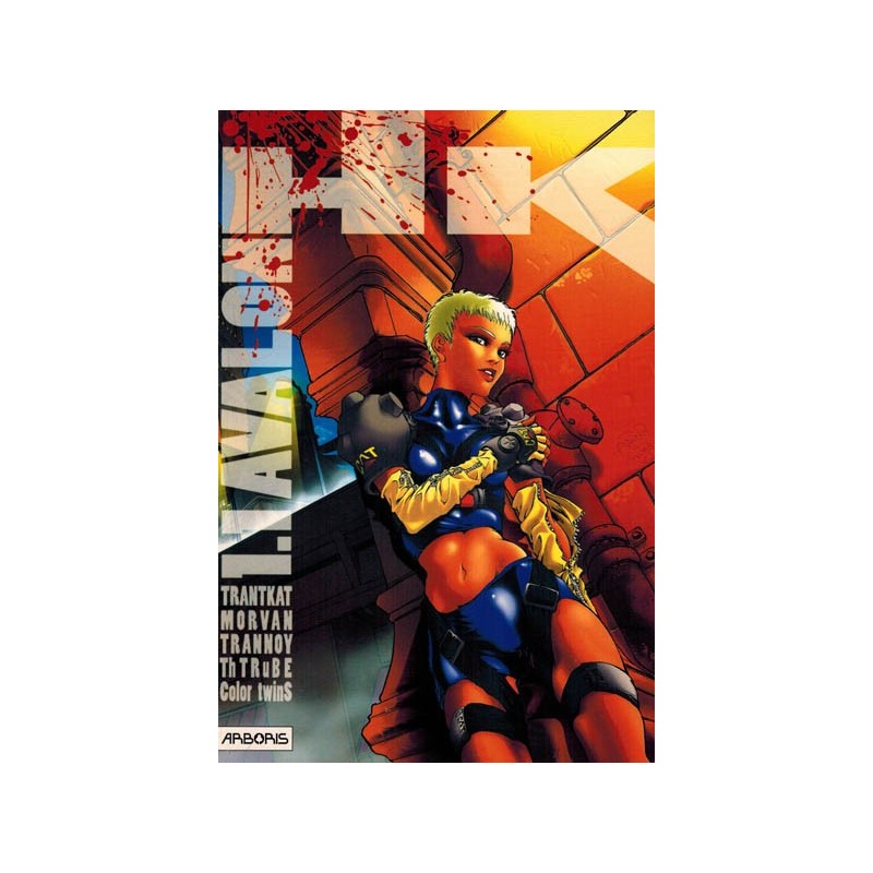 HK 1.1 Avalanche 1e druk 1996